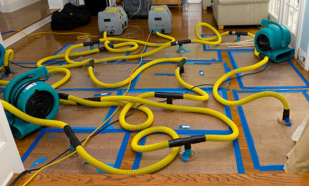 Professional Basement Flood Cleanup technician working in Oxford, IN
